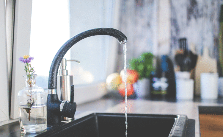 outdoor kitchen faucet