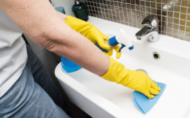 fruit flies in bathroom