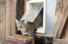 cat flap installation