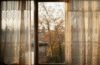 window reveal