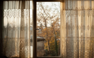 window reveal
