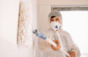 best anti mould paint