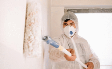 best anti mould paint