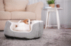 dog sofa bed