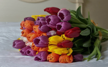 bouquet flowers tulips