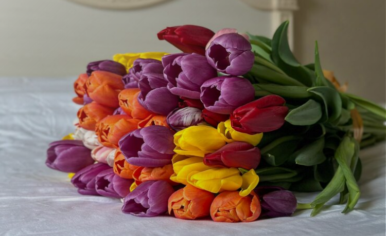 bouquet flowers tulips