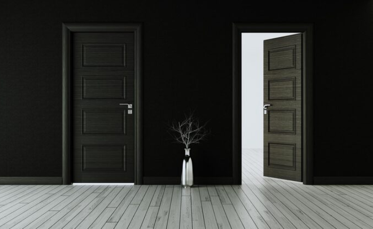 black interior doors