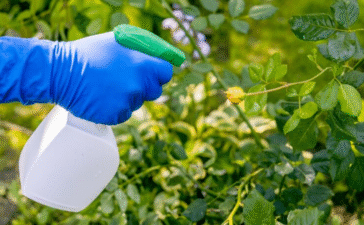 spectracide weed stop for lawns