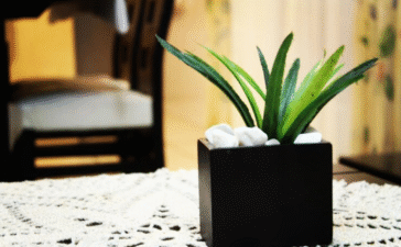 best plants for bathroom