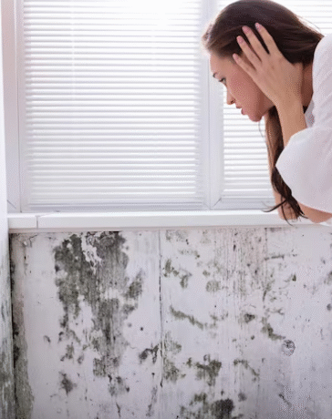 black mold in bathroom