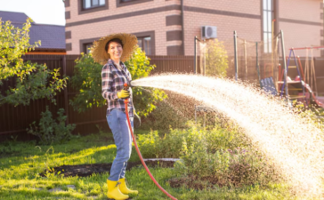 best time to water lawn