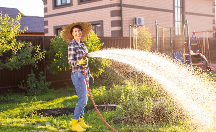 best time to water lawn