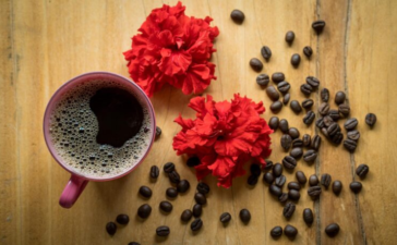 coffee filter flowers
